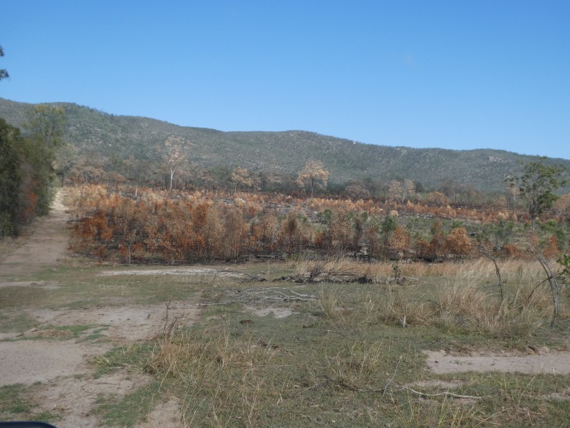 Golden Fleece QLD 4621