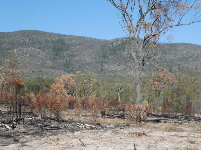 Golden Fleece QLD 4621