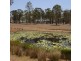 34 GREGORY DRIVE, Redridge QLD 4660