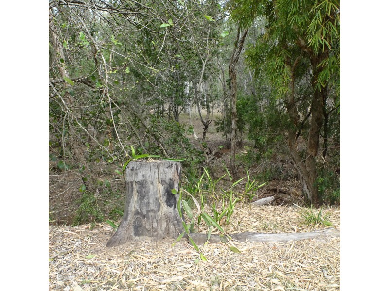 572 Goodwood Road, North Isis QLD 4660