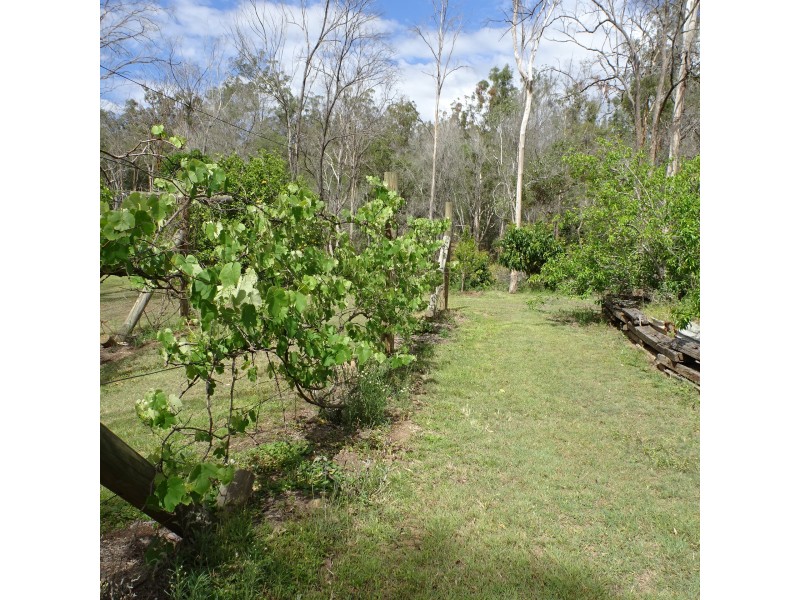 572 Goodwood Road, North Isis QLD 4660