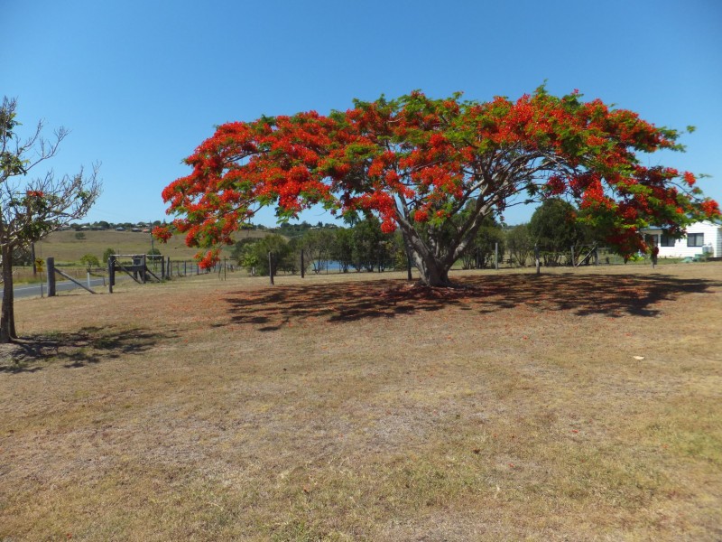 87 North Isis Road, North Isis QLD 4660