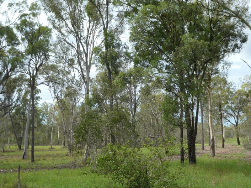 27 Gastons Road, Redridge QLD 4660