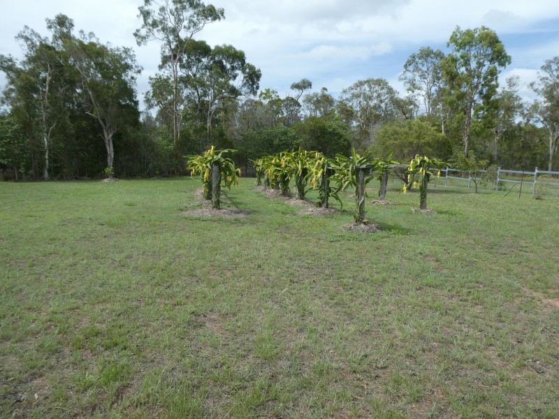 25 Yalla Lane, Redridge QLD 4660