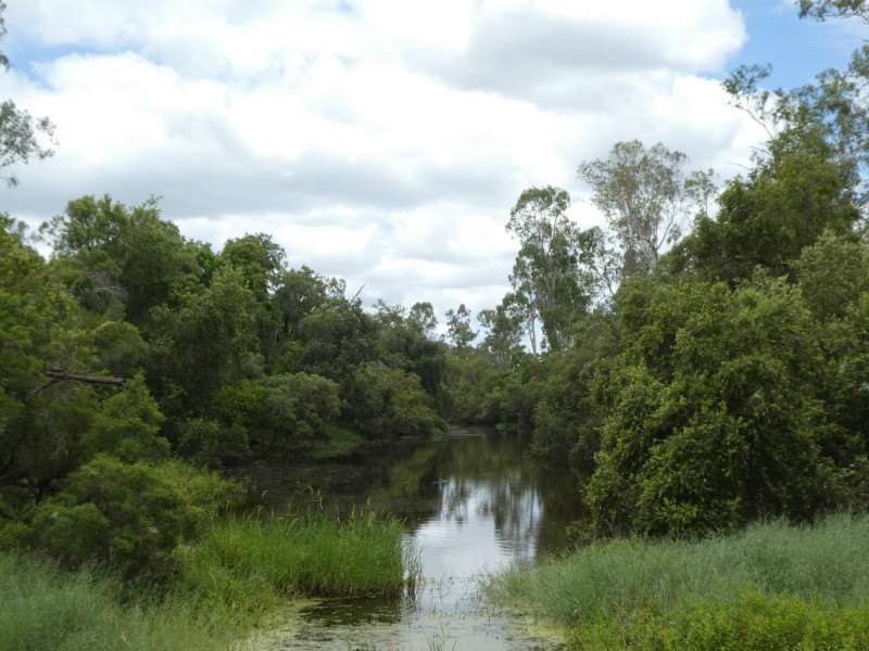 883 North Dallarnil Road, Dallarnil QLD 4621