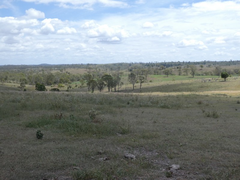 883 North Dallarnil Road, Dallarnil QLD 4621