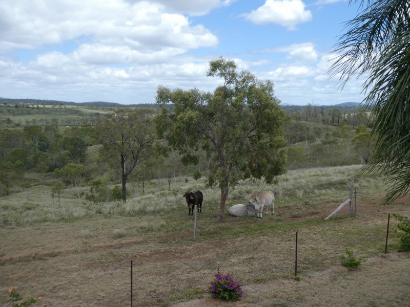 883 North Dallarnil Road, Dallarnil QLD 4621