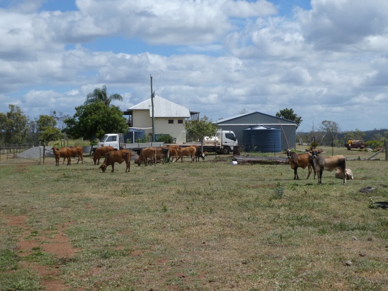 883 North Dallarnil Road, Dallarnil QLD 4621