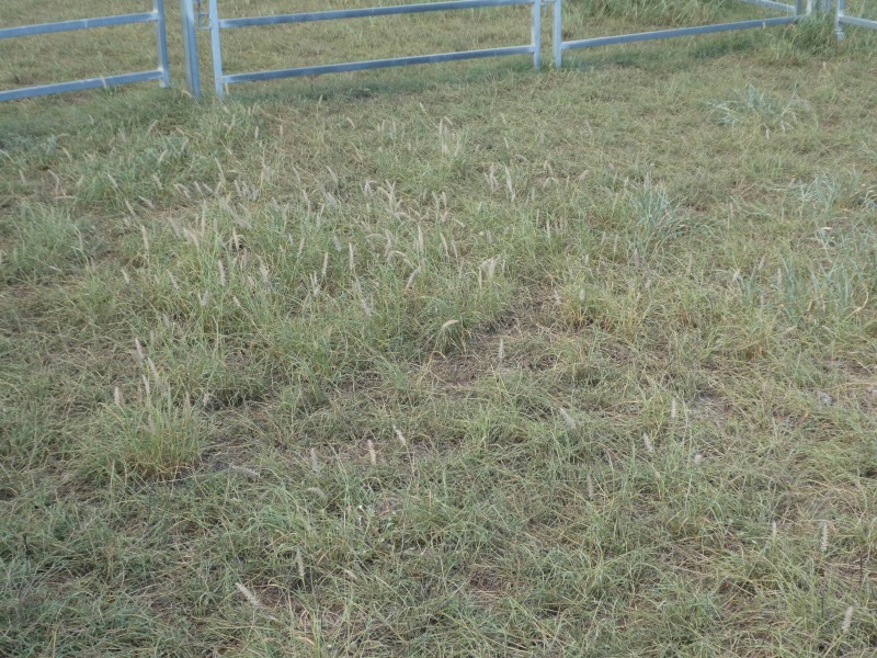 4 Lots Gospel Hall & Lawgalls Roads, Dallarnil QLD 4621