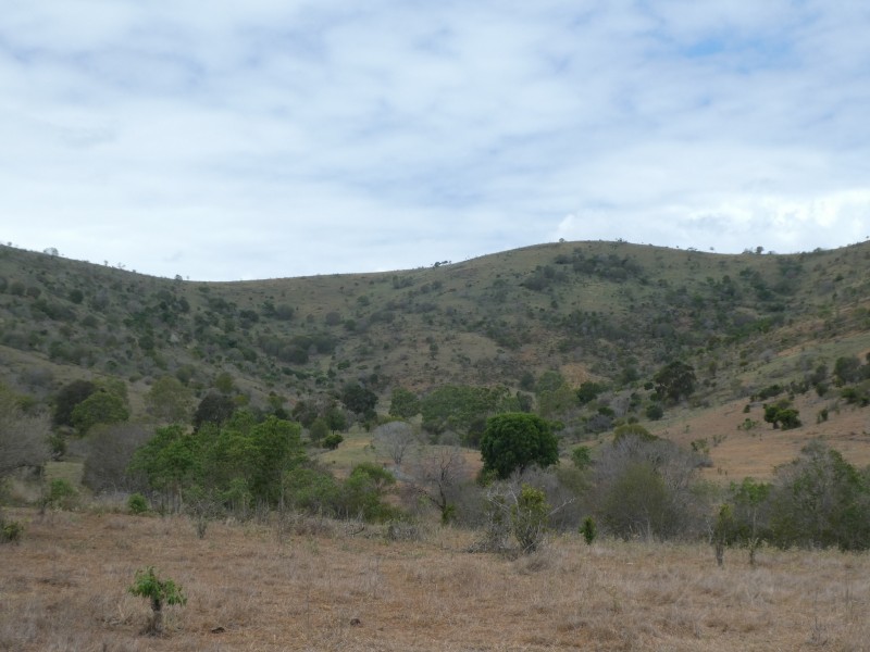 4 Lots Gospel Hall & Lawgalls Roads, Dallarnil QLD 4621