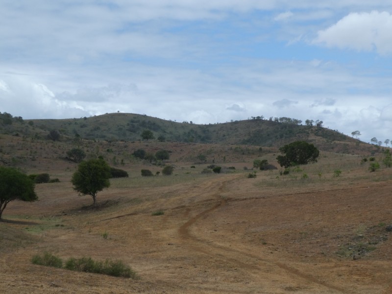 4 Lots Gospel Hall & Lawgalls Roads, Dallarnil QLD 4621