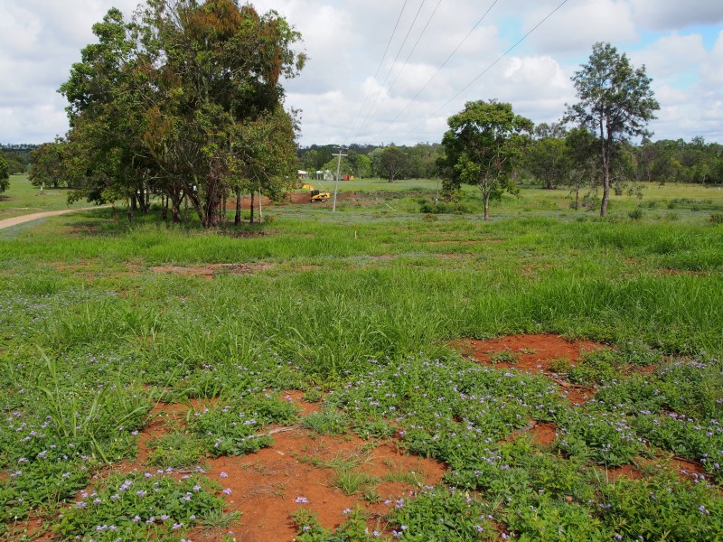 9 GREEN VALLEY COURT, North Isis QLD 4660