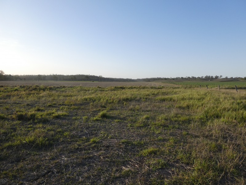 159 CLOYNE ROAD, Drinan QLD 4671
