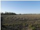 159 CLOYNE ROAD, Drinan QLD 4671