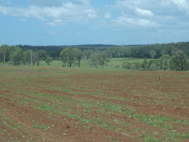 73 WATERLOO HALL ROAD, Waterloo QLD 4673