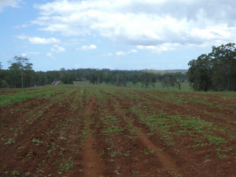 73 WATERLOO HALL ROAD, Waterloo QLD 4673