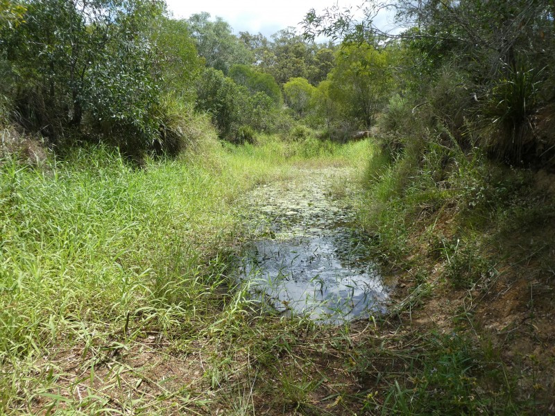 73 WATERLOO HALL ROAD, Waterloo QLD 4673