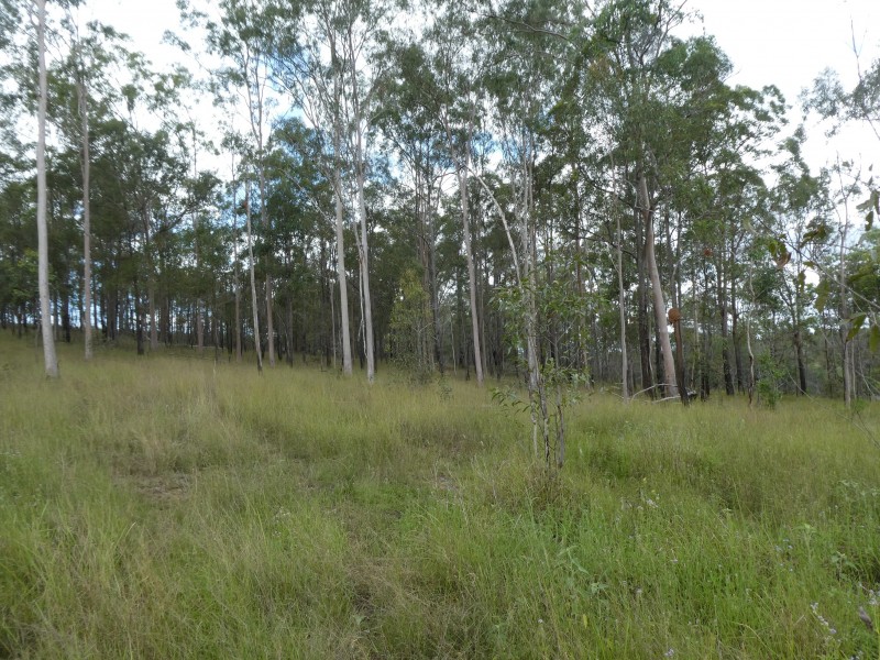 73 WATERLOO HALL ROAD, Waterloo QLD 4673