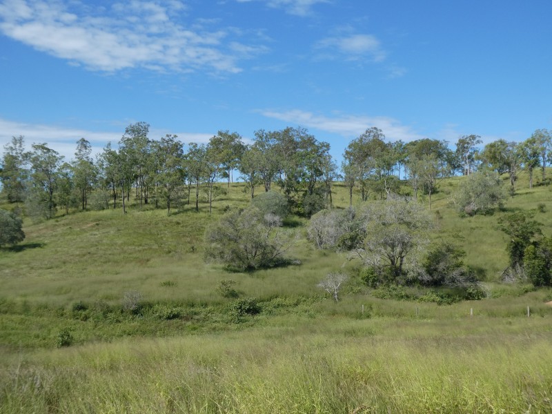 820 GOOD NIGHT SCRUB ROAD, Good Night QLD 4671