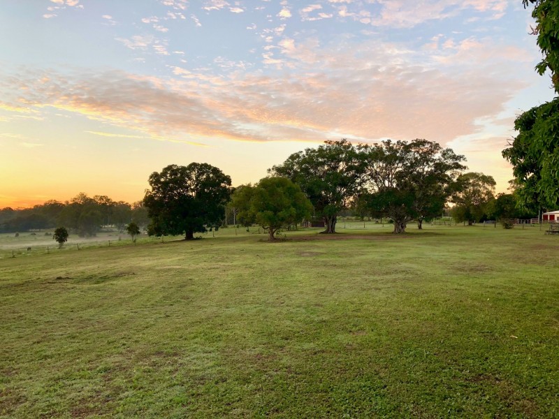 157 COOKS ROAD, South Isis QLD 4660