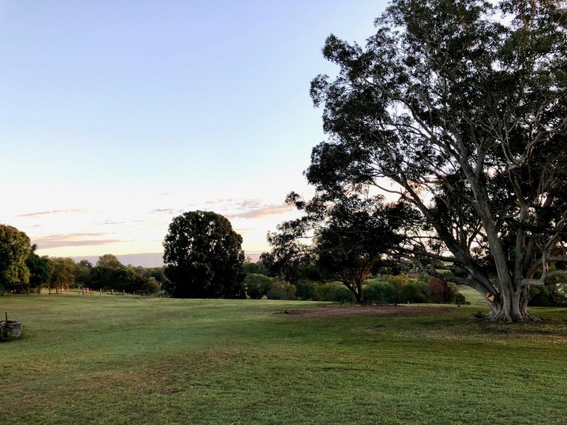 157 COOKS ROAD, South Isis QLD 4660