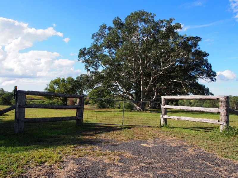 157 COOKS ROAD, South Isis QLD 4660