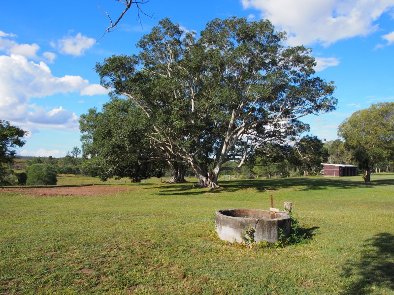 157 COOKS ROAD, South Isis QLD 4660