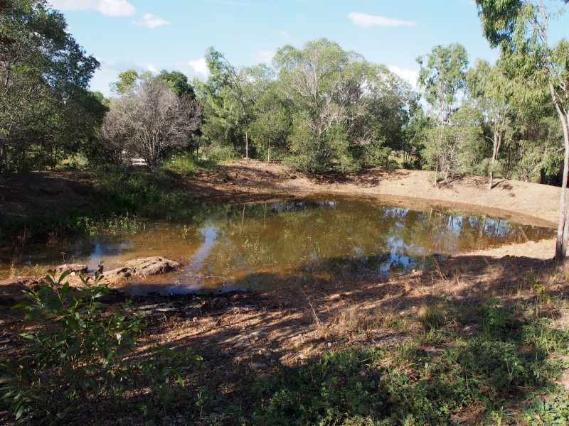 157 COOKS ROAD, South Isis QLD 4660