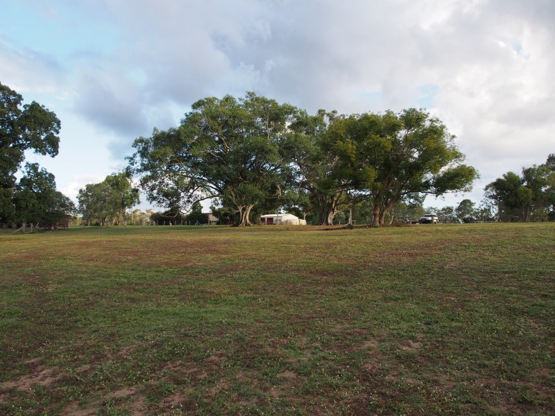 157 COOKS ROAD, South Isis QLD 4660