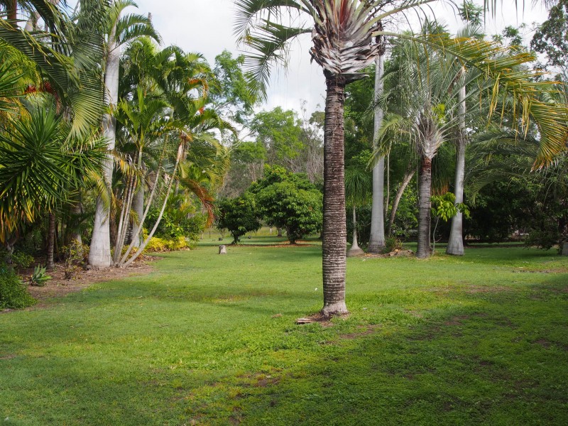 794 BUXTON ROAD, Isis River QLD 4660