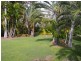794 BUXTON ROAD, Isis River QLD 4660