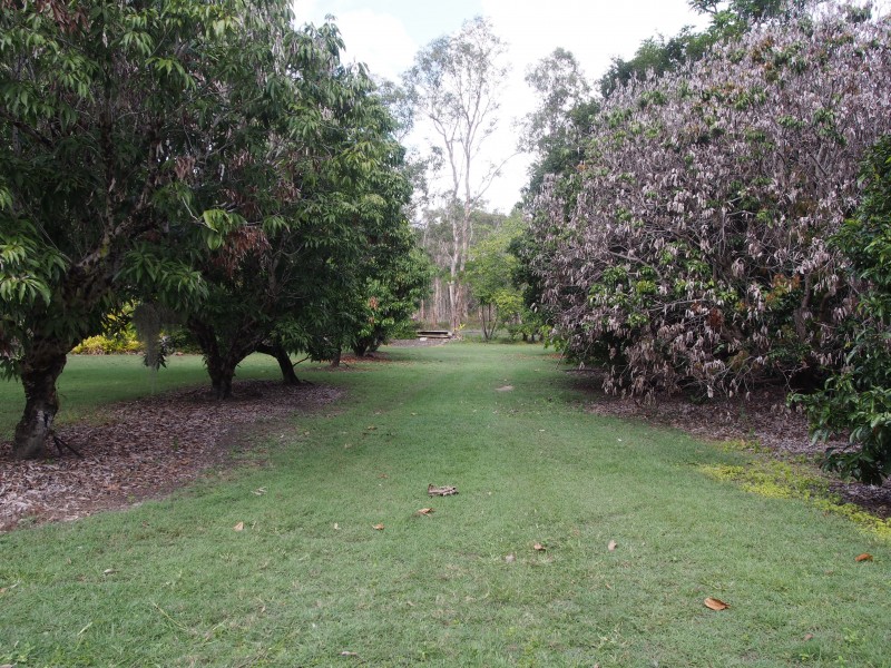 794 BUXTON ROAD, Isis River QLD 4660