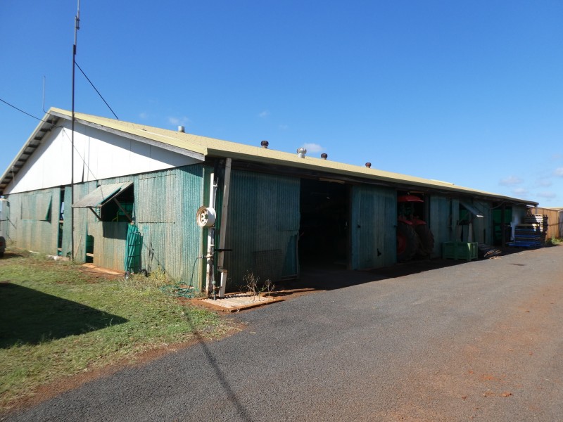 40 AVOCADO DRIVE, South Isis QLD 4660