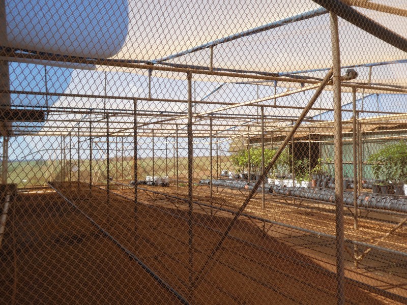 40 AVOCADO DRIVE, South Isis QLD 4660