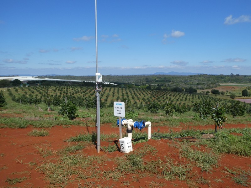 40 AVOCADO DRIVE, South Isis QLD 4660