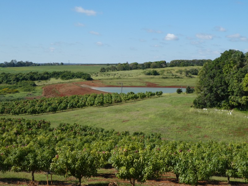 40 AVOCADO DRIVE, South Isis QLD 4660