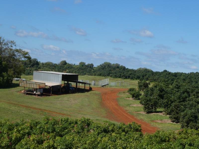 40 AVOCADO DRIVE, South Isis QLD 4660