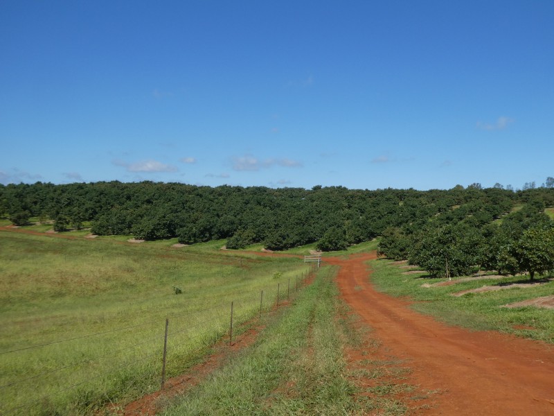 40 AVOCADO DRIVE, South Isis QLD 4660