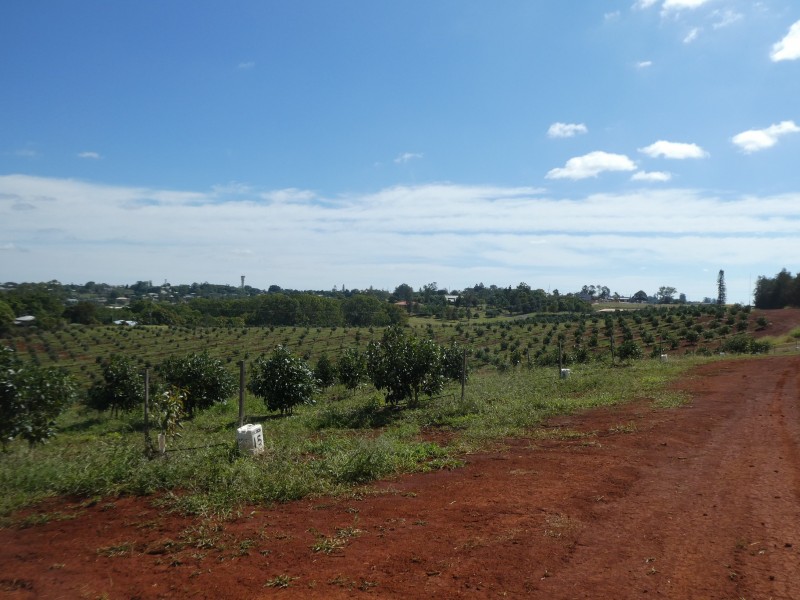 40 AVOCADO DRIVE, South Isis QLD 4660