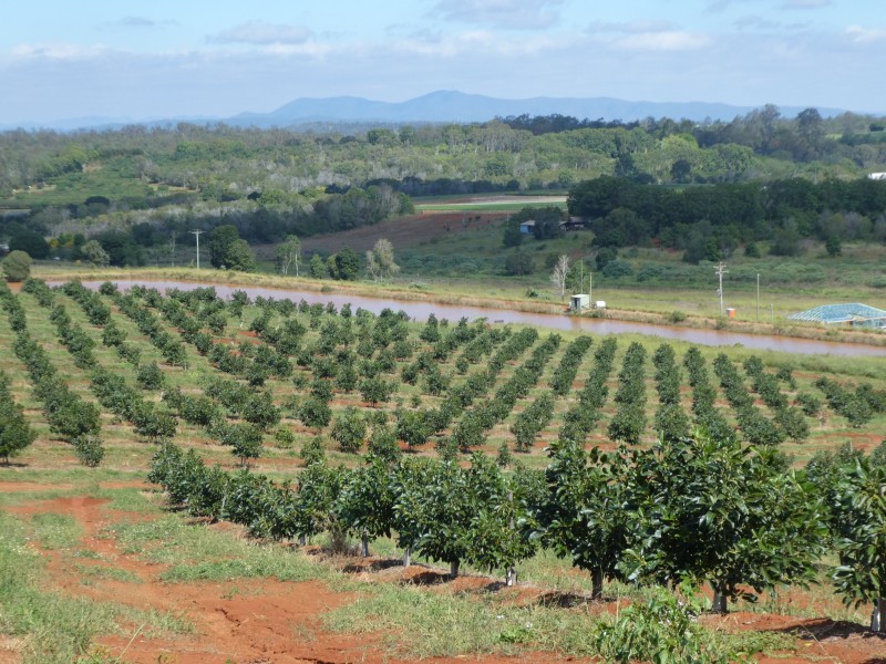 40 AVOCADO DRIVE, South Isis QLD 4660