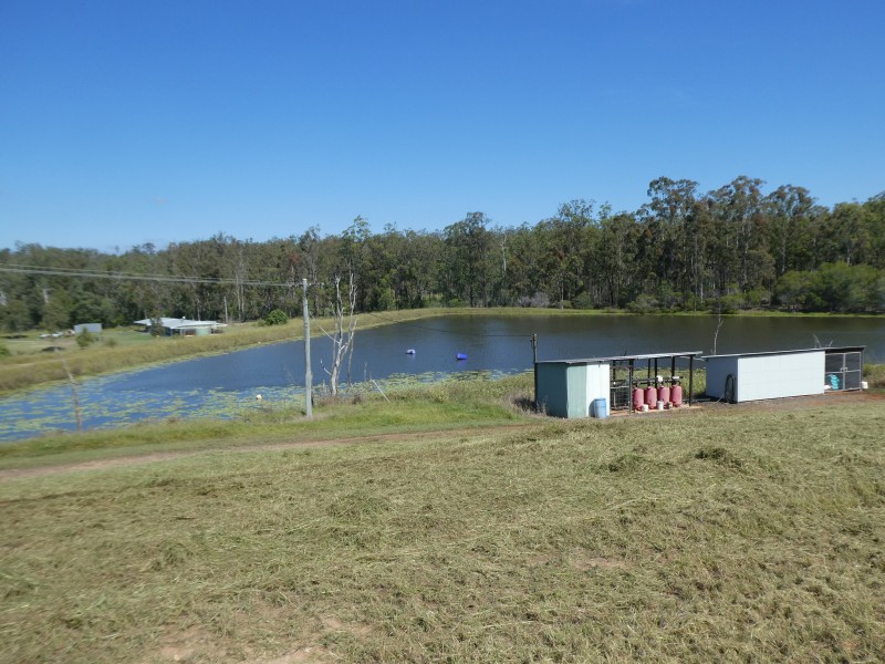 236 BUTCHERS ROAD, South Isis QLD 4660