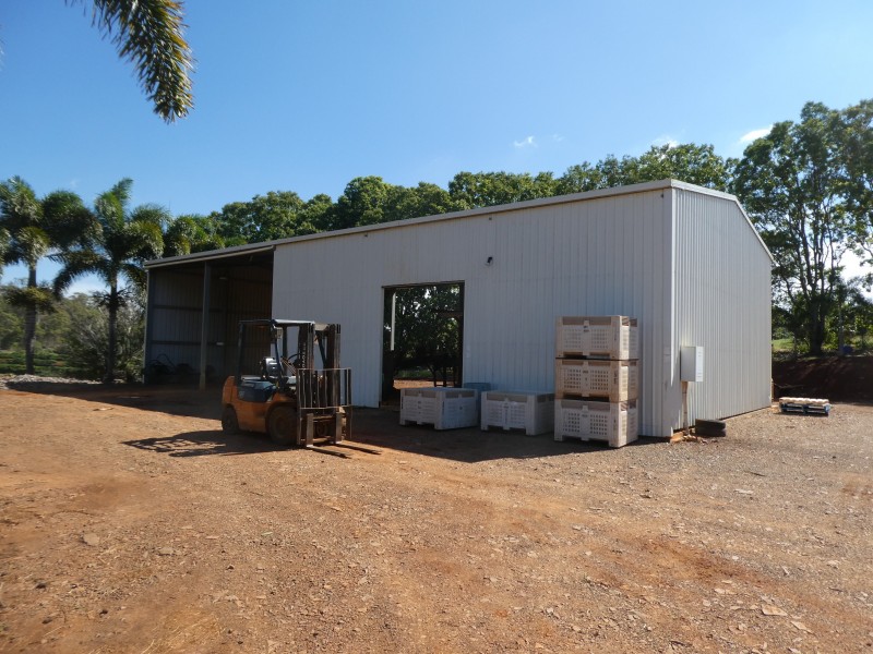 236 BUTCHERS ROAD, South Isis QLD 4660