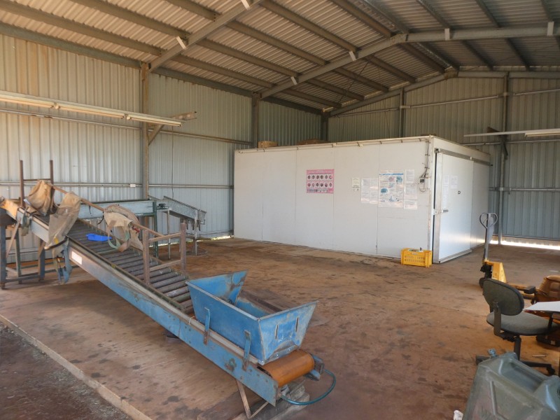 236 BUTCHERS ROAD, South Isis QLD 4660