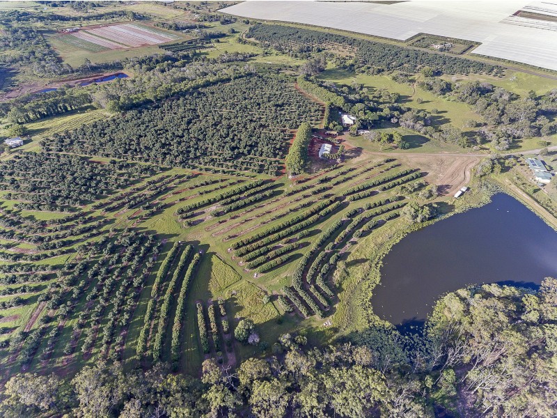 236 BUTCHERS ROAD, South Isis QLD 4660