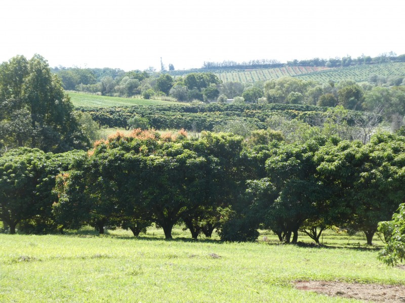 236 BUTCHERS ROAD, South Isis QLD 4660