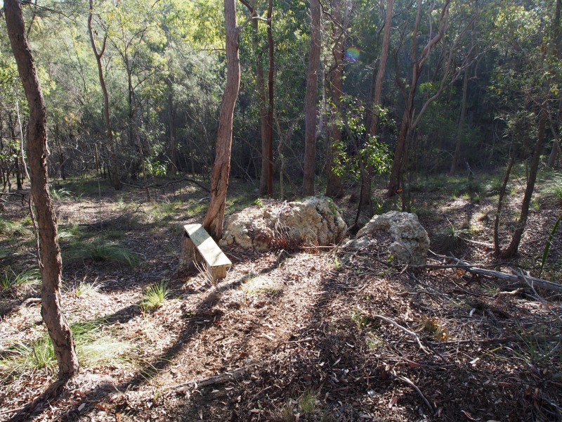 341 PROMISELAND ROAD, Cordalba QLD 4660