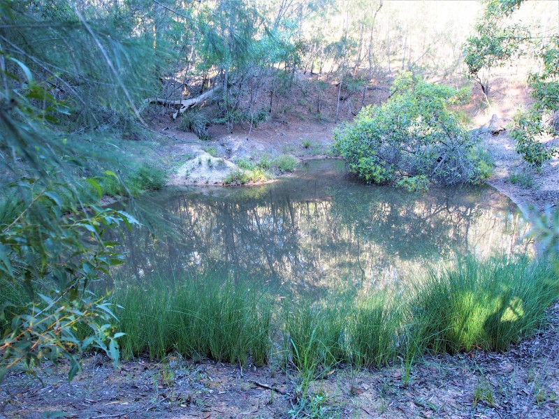 341 PROMISELAND ROAD, Cordalba QLD 4660