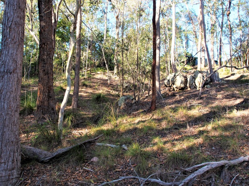 341 PROMISELAND ROAD, Cordalba QLD 4660