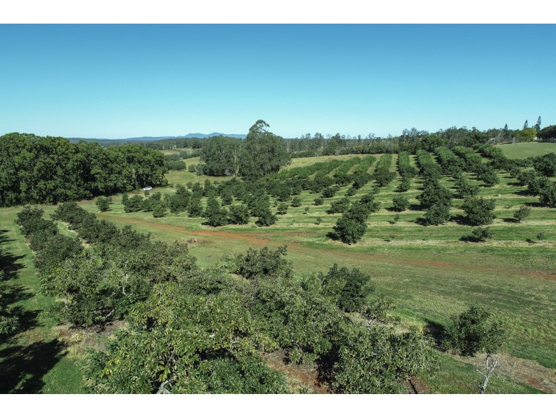 202 CHURCHILL STREET, Childers QLD 4660