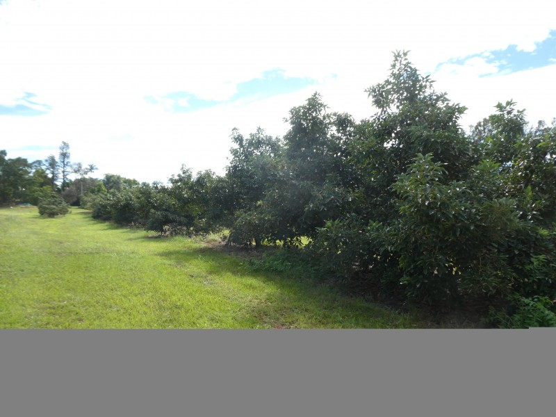 202 CHURCHILL STREET, Childers QLD 4660